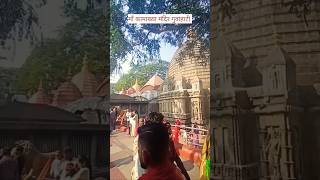 Kamakhya mandir guwahati ll kamakhyatemple kamakhyamandir kamakhya [upl. by Fante]