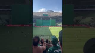 FESTA DA TORCIDA DO PALMEIRAS NO ALLIANZ PARQUE 🐷🐷 [upl. by Megen86]