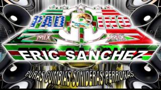 ERIC SANCHEZ DJ PADRINO MIX FT LA LEY 7 TUBOCA DICE NO 2014 LIMPIA [upl. by Adaiha166]