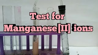 Test for Manganese ions [upl. by Yelrak]