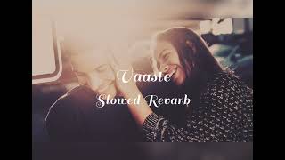 Vaaste Slowed Revarb💕 music slowed romantic [upl. by Peirce]