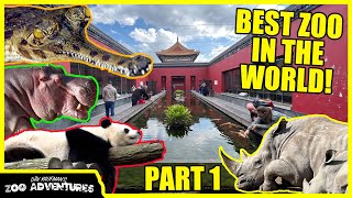 THE MOST INCREDIBLE ZOO IN THE WORLD Pairi Daiza PART 1 with KINOVAReptiles [upl. by Ambie]