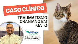 Caso Clínico  Traumatismo Craniano em Gato [upl. by Baptlsta]