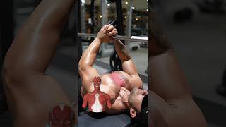 INNER CHEST WORKOUT  Targeted Exercise for a Stronger Chest [upl. by Retsek]