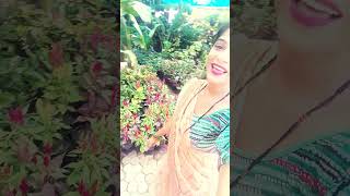 Durriya banwe le majburiya shorts trending ytshorts viral [upl. by Dinah]