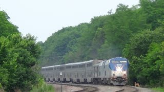 Amtrak Train Hits Deer [upl. by Yacano700]