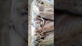 Galunggong isda dinaing malambot malasa ito y ready to cook [upl. by Bowrah]