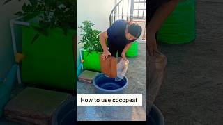 What is cocopeat cocopeat gardening youtubeshorts [upl. by Gide657]