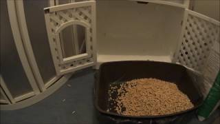 Natural Wood Pellets Perfect In Cat Toilet [upl. by Husch89]