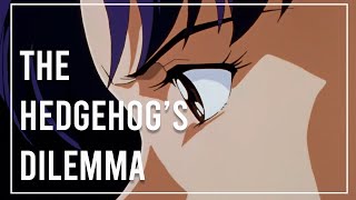 Understanding The Hedgehogs Dilemma  Video Essay [upl. by Eisaj593]