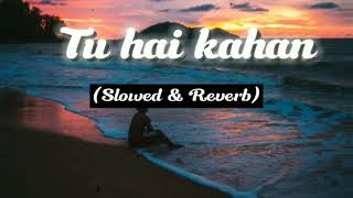 Tu Hai Kahan Slowed  Reverb AUR [upl. by Adnuhsat]