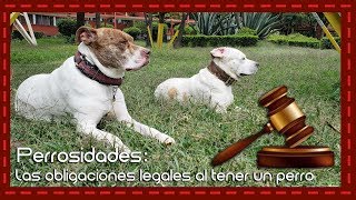 Perrosidades Obligaciones legales que debes cumplir con tu perro en la Ciudad de México [upl. by Ranjiv663]