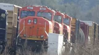 CSX at Danville with 3 SD70Macs for SLR and power that brought it 40 miles East Rigby 112024 [upl. by Laerdna53]