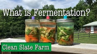 What is fermentation What is pickling Are they the same [upl. by Schlosser]