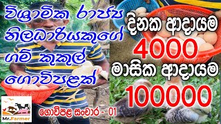 කුකුල් පාලනේ අඩ සියුම් නිදලි ක්‍රමය 🐓  Gam kukul palanaya [upl. by Marje]