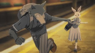 BEASTARS RUNNING SCENE  ❤️LEGOSHI X HARU❤️ [upl. by Anida]