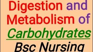 Digestion and Metabolism of carbohydrates Bsc Nursing [upl. by Ermin]