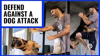 How to Defend Against Dog Attack [upl. by Orenid]