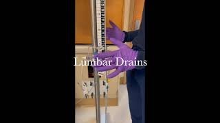 Lumbar Drain Explanation [upl. by Idden]