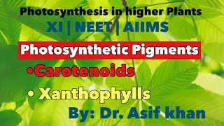 Carotenoids  Carotene amp Xanthophyll  Photosynthesis in higher Plants  XI  NEET  AIIMS [upl. by Tedie]