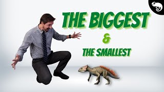 The BIGGEST and the SMALLEST DINOSAURS from EVERY GROUP [upl. by Ibbob]