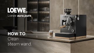 Loewe aurapure 56  How to clean the steam system [upl. by Hamfurd915]