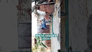 Balancing YOGA yogapractice balance yogalife yogainspiration [upl. by Porta]