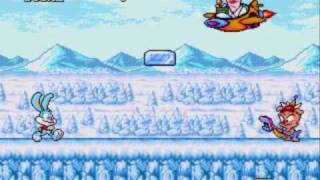 The Best Video Games EVER  Tiny Toon Adventures Review [upl. by Alegnad856]