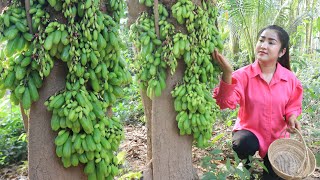 Collect some bilimbi fruit for cooking  Yummy bilimbi fruit cooking  Cooking with Sreypov [upl. by Lucia]