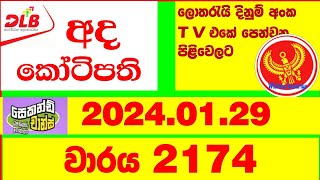 Ada Kotipathi 2174 20240129 Lottery Results Lotherai dinum anka 2174 DLB Lottery Show [upl. by Netneuq945]