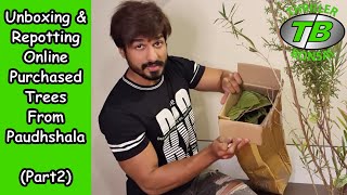 Unboxing amp Repotting online purchased trees from Paudhshalacom  Part 2 [upl. by Myriam454]