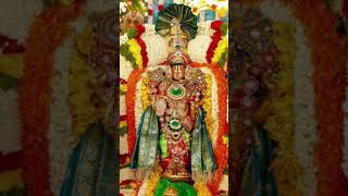 Venkateshwara Suprabathamsongs fetival Om Namo venkatesha Namo Narayana [upl. by Nieberg834]