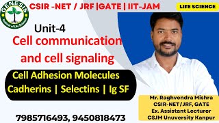 Cell Adhesion Molecules  Cadherins  Selectins  Ig Super Family  Cellular communication  L2 [upl. by Barber]