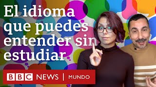 Interlingua el idioma que millones pueden entender sin haberlo estudiado  BBC Mundo [upl. by Ahsoik]