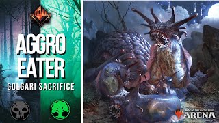 Destroying aggro players GOLGARI SACRIFICE  Mythic rank standard BO1 deck guide  Toxrill MTG Arena [upl. by Uliram]