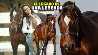 CORONA CARTEL  El LEGADO y la DESPEDIDA de un ÍCONO caballos [upl. by Aevin]