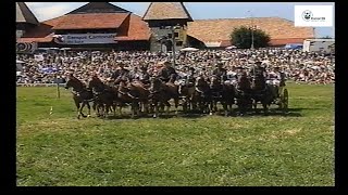 Marchéconcours de Saignelégier 2002 [upl. by Hussar578]