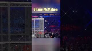 Shane McMahon vs Undertaker WrestleAlive wwe undertaker [upl. by Casper]