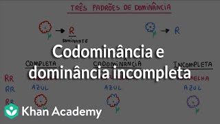 Codominância e dominância incompleta [upl. by Leyes]