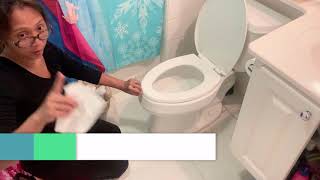 How to clean a toilet bowl properly [upl. by Notnilk]