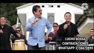 LUCHO BOSSA Y SU GRUPO MANDIOKA [upl. by Eserahs]