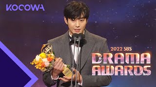 Ahn Hyo Seop wins the Male Top Excellence Award l 2022 SBS Drama Awards Ep 2 ENG SUB [upl. by Retnuh]