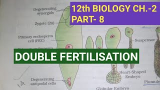 Class 12 biology chapter2 Part8  Double fertilisation Study with Farru [upl. by Yorgos503]