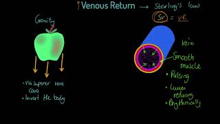 OCR Alevel PE Venous Return [upl. by Aicire]