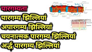 Permeability in Hindi  class 11 12 botany in hindi [upl. by Pontias]