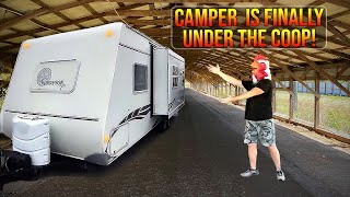 Camper is Finally at Home in the Coop [upl. by Nerret]