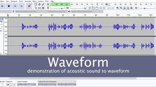 Demo on waveform and spectrogram using Audacity [upl. by Heyward690]