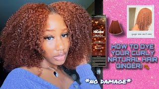 HOW TO DYE YOUR CURLY NATURAL HAIR GINGER 🥕 no damage ✨ L’oréal Hi Colors SOFT AUBURN H5 [upl. by Esmaria]