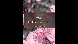 Wish karaoke with lyrics Donna Cruz [upl. by Pepper]