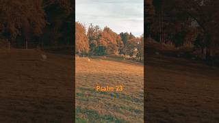 psalm23 bibelverse dergutehirte jesus natur [upl. by Adnawt]